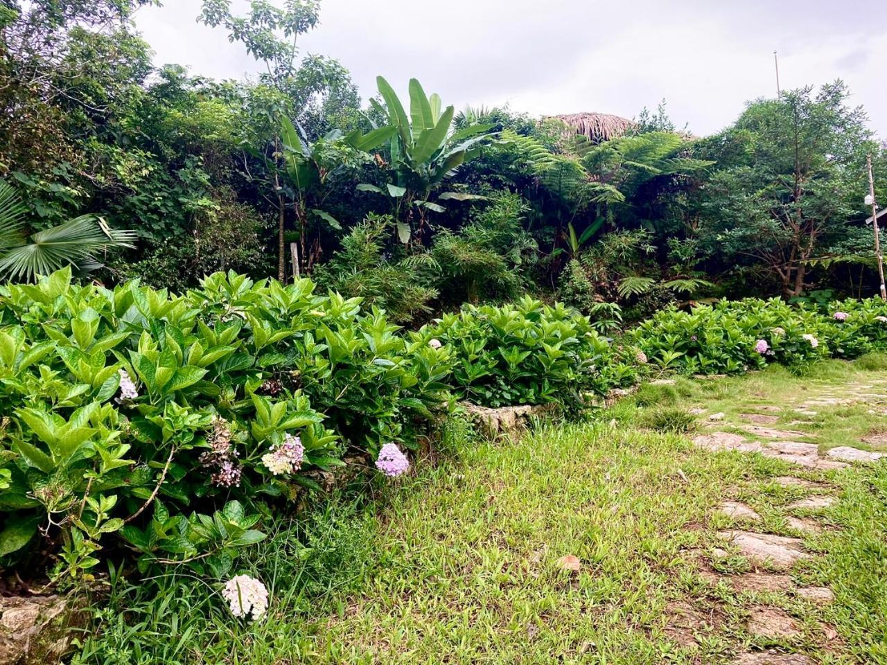 Tvpalm Ecolodge Hà Giang Ngoại thất bức ảnh