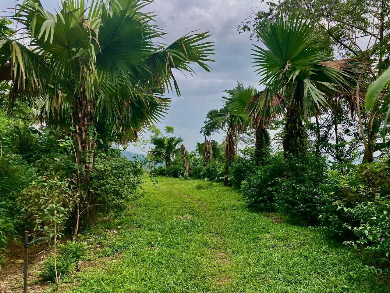 Tvpalm Ecolodge Hà Giang Ngoại thất bức ảnh