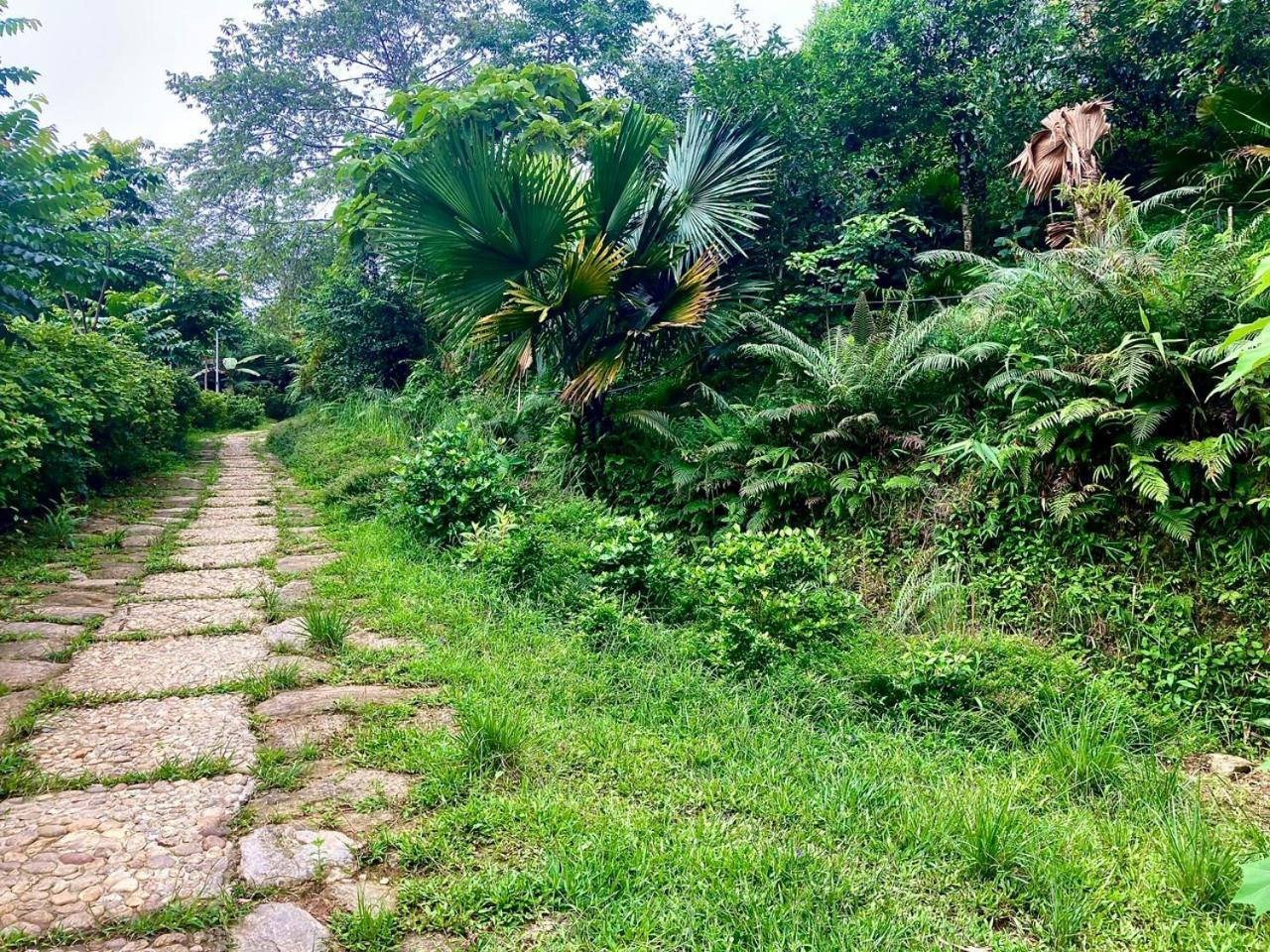 Tvpalm Ecolodge Hà Giang Ngoại thất bức ảnh