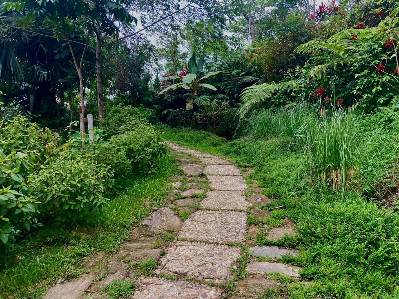 Tvpalm Ecolodge Hà Giang Ngoại thất bức ảnh